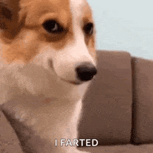 Main Group for Fart Community